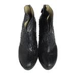 Bota-Alexandre-Birman-Python