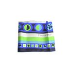 Lenco-De-Seda-Christian-Dior-Verde-E-Azul-80-x-80