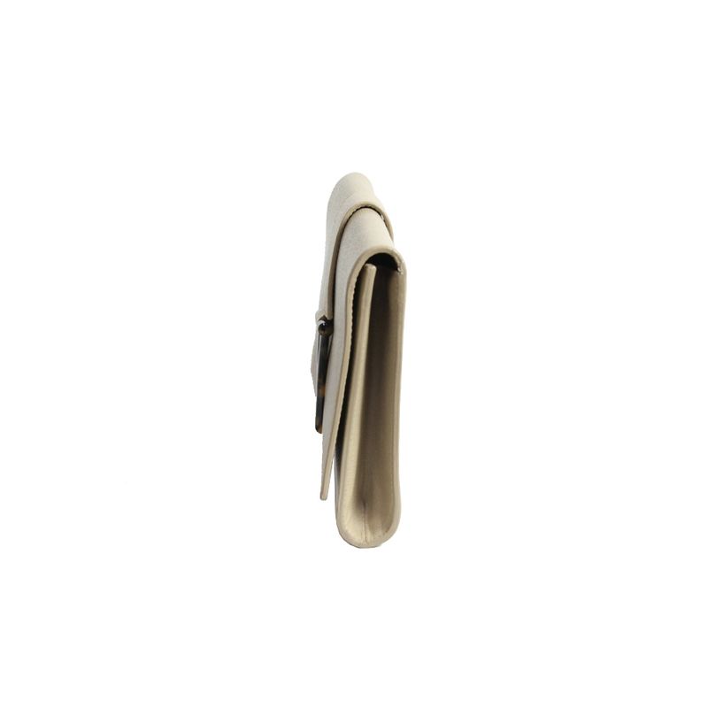 Clutch-Saint-Laurent-Chyc-Flap-Bege-e-Tartaruga