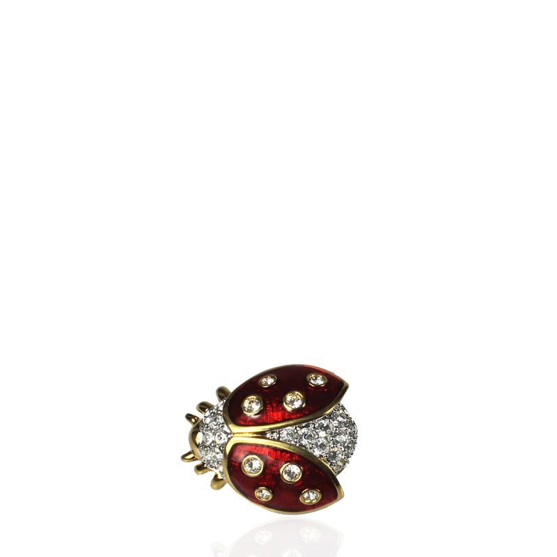 Broche-Lady-Bug-Vermelha-com-Cristais
