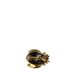 Broche-Lady-Bug-Vermelha-com-Cristais