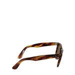 Oculos-Ray-Wayfarer-Tartaruga