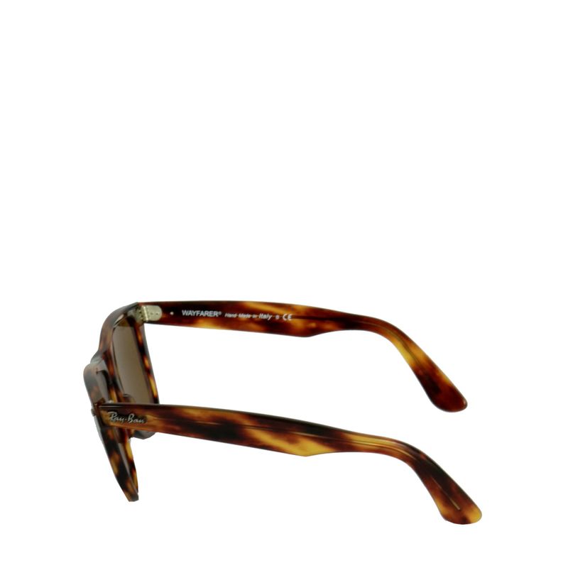 Oculos-Ray-Wayfarer-Tartaruga