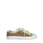 Tenis-Coach-Canvas