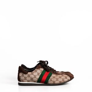 Tenis Gucci Canvas