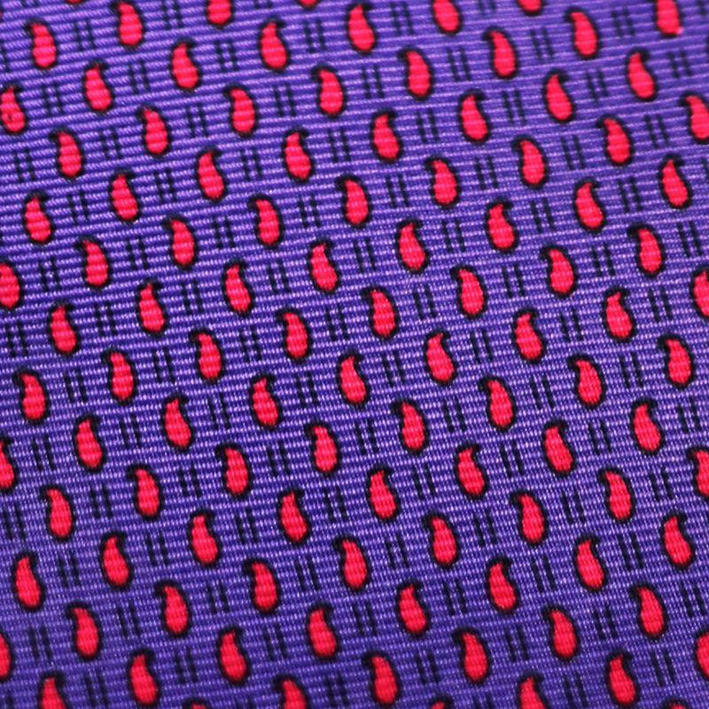 Gravata-Christian-Dior-Lilas