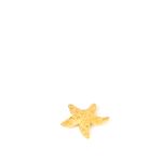 Broche-Swarovski-Estrela-do-Mar-Dourada