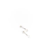 Brinco-Swarovski-Estrela-Pendurada-Prateado