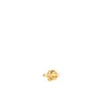Broche-Swarovski-Sapo-Dourado