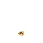 Broche-Swarovski-Joaninha