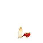 62516-Peep-Toe-Christian-Louboutin-Python-Bege
