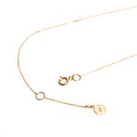 Corrente-Plaquinha-Luck-Ouro-Amarelo
