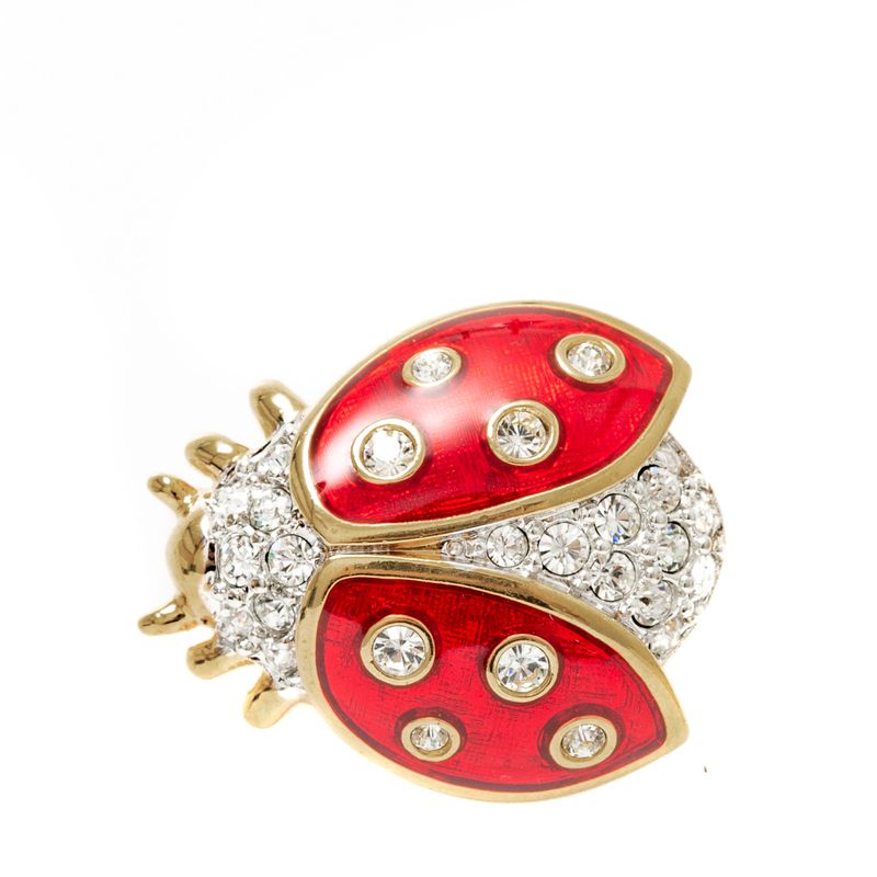 Broche-Swarovski-Joaninha