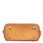 Bolsa-Louis-Vuitton-Ambre