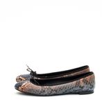 Sapatilha-Gucci-Python