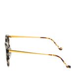 Oculos-Illesteva-Palm-Beach-Tartaruga