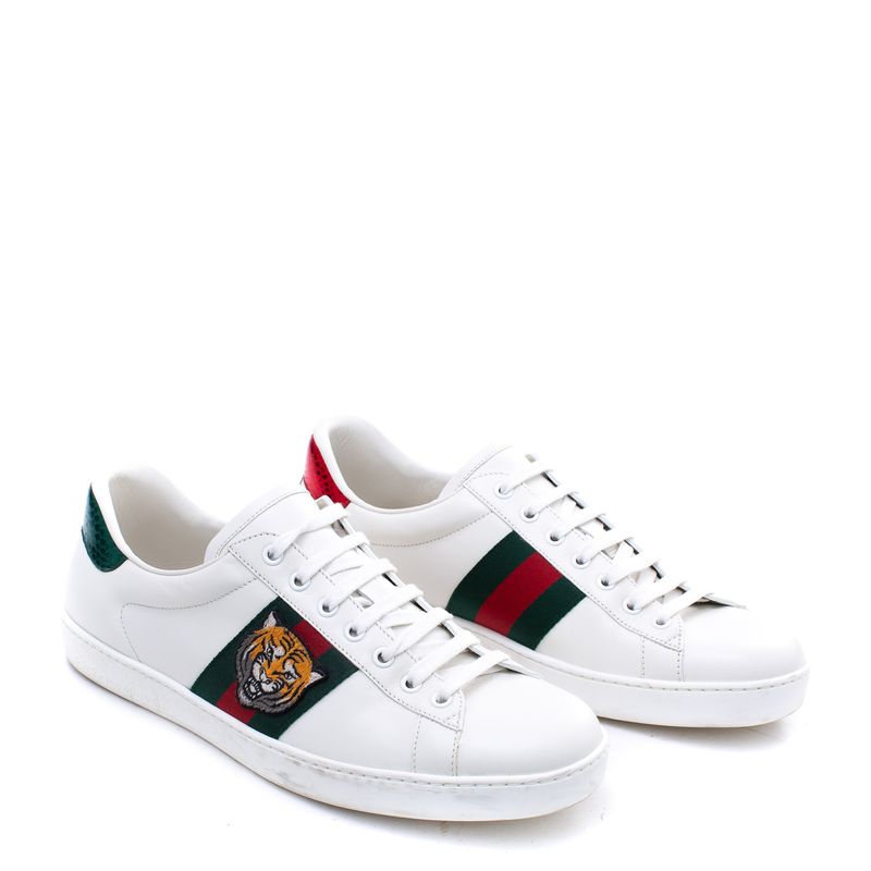 Tenis-Gucci-Web-Accent-Leather-Sneakers-Tigre