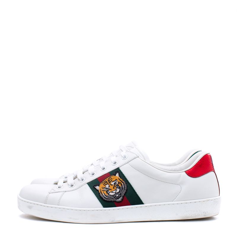 Tenis-Gucci-Web-Accent-Leather-Sneakers-Tigre