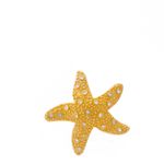 Broche-Swarovski-Dourado-Estrela-do-Mar