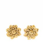 Grampo-de-Sapato-Vintage-Flor-Dourada