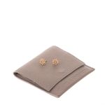 Brinco-Carla-Amorim-Luz-Ouro-Rosa-com-Brilhantes