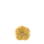 Anel-Stella-Guerra-Flor-Ouro