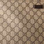 Bolsa-Gucci-Crystal-Messenger-GG-Supreme