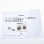 Brinco-Modelo-Gota-Turmalina-Paraiba-e-Diamantes