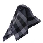 Echarpe-Burberry-House-Check-Cinza