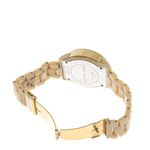 Relogio-Michael-Kors-MK-5039-Acetato-Bege
