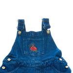 Jardineira-Mixed-Infantil-Jeans-Bordada