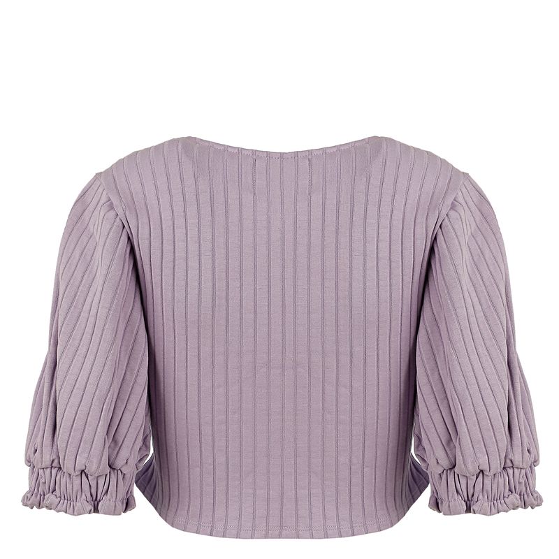 Blusa-Framed-Transpassada-Lilas