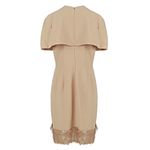 Vestido-Alexander-McQueen-Rosa-e-Detalhe-Paete