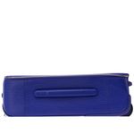 Mala-Louis-Vuitton-Pegase-55-Epi-Roxo