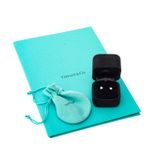 Brinco-Tiffany---Co-Diamante-Solitario-e-Platina