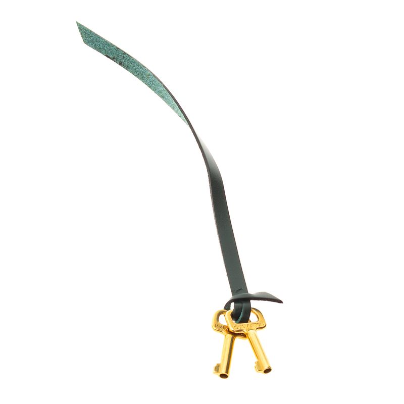 Pasta-Louis-Vuitton-Robusto-2-Couro-Taiga-Verde-