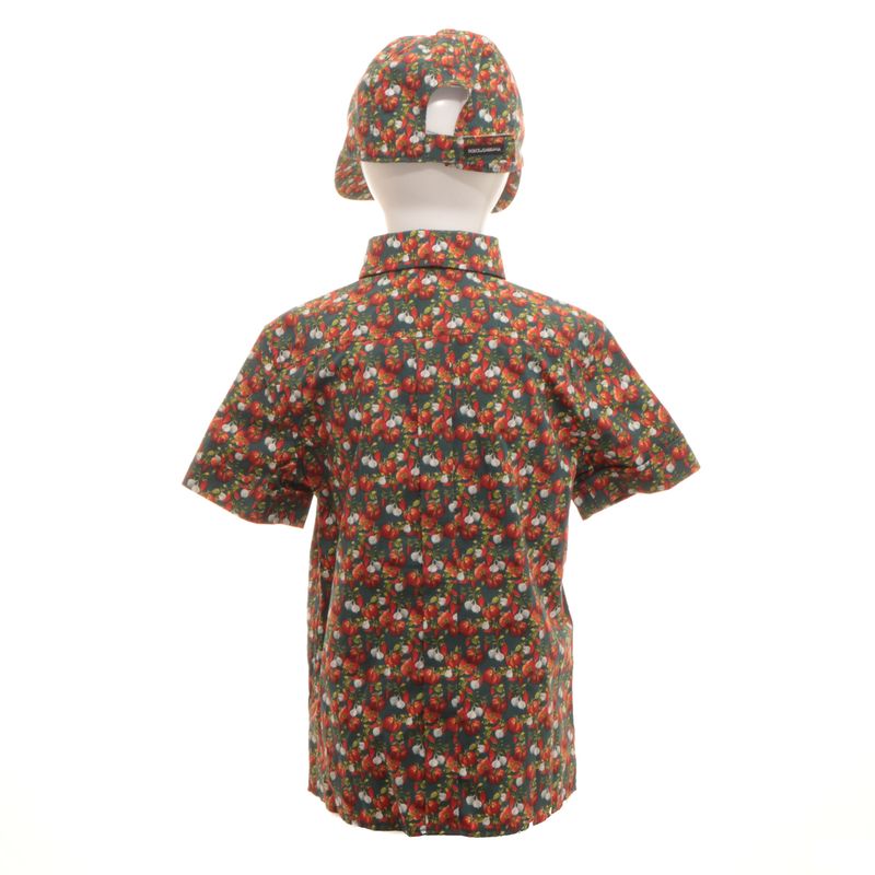 Camisa-Dolce---Gabbana-Infantil-com-Bone