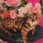 Vestido-Dolce---Gabbana-Infantil-Rosa-Gato