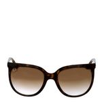Oculos-Rayban-Cats-1000-Acetato-Mescla