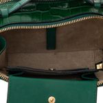 Bolsa-Chloe-Mini-Eyewear-B-Verde