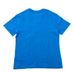 Camiseta-Polo-Ralph-Lauren-Azul-Estampa-Verde
