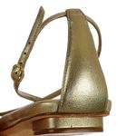 Rasteira-Alexandre-Birman-Couro-Dourado
