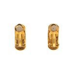 Brinco-Swarovski-Semi-Circulo-Cristais