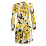 Vestido-Dolce---Gabbana-Limao-Siciliano