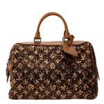 Bolsa-Louis-Vuitton-Sunshine-Express-Speedy-Marrom