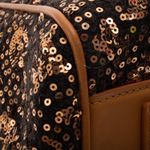Bolsa-Louis-Vuitton-Sunshine-Express-Speedy-Marrom