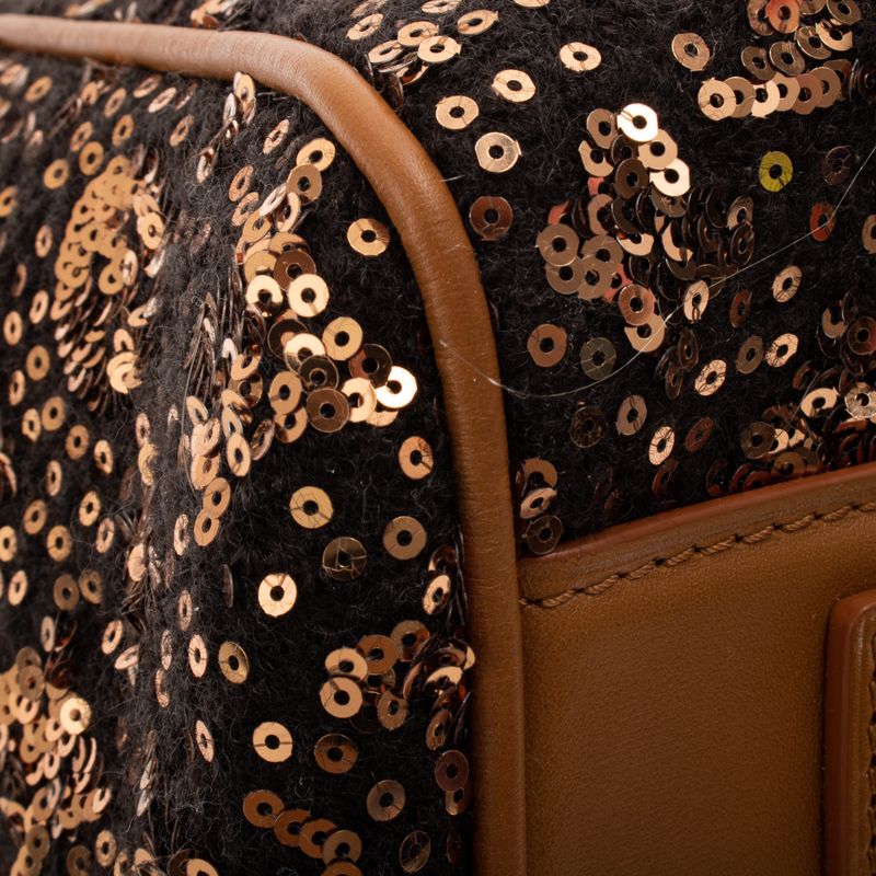 Bolsa-Louis-Vuitton-Sunshine-Express-Speedy-Marrom