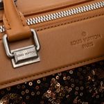 Bolsa-Louis-Vuitton-Sunshine-Express-Speedy-Marrom