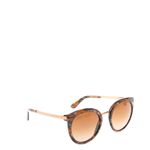 Oculos-Dolce---Gabbana-DG4268-Marrom