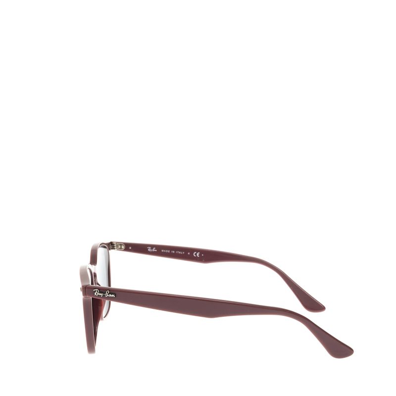 Oculos-Ray-Ban-Wayfarer-Marrom